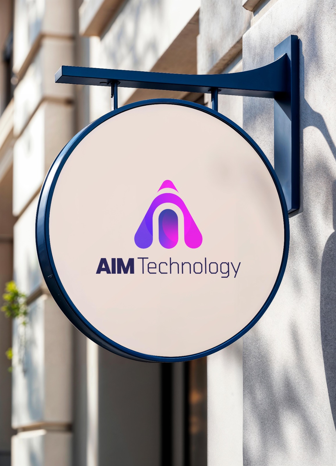 AIM Group board members